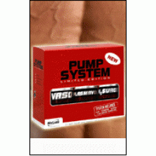 Pump System